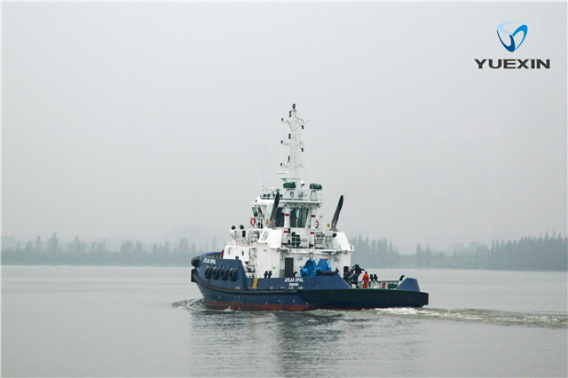 YX323803.jpg YX323803.jpg